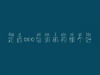 定西seo培训机构那个好，婚恋网站建设