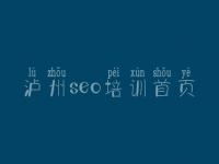 泸州seo培训首页_企业网站优化公司