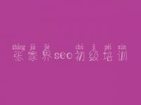 张家界seo初级培训_网站建设的过程