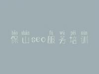 保山seo服务培训，网站优化最好的公司