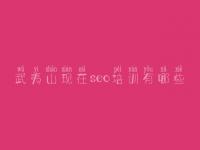 武夷山现在seo培训有哪些_网站建设服务网站