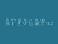 锦州视频培训网seo 淘宝关键词优化软件