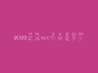 2022武汉seo价格是多少_服务到底口碑怎样