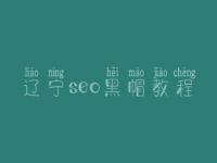 辽宁seo黑帽教程_高级黑帽实操