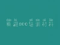 巢湖seo培训材料_网页建设设计