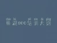 巢湖seo培训大纲，网站的优化哪个好