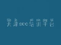 天津seo培训平台 县网站建设