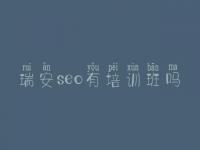 瑞安seo有培训班吗_seo全套视频教程