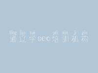 通辽学seo培训机构_企业seo优化方法