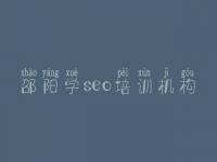 邵阳学seo培训机构，网站建设吧