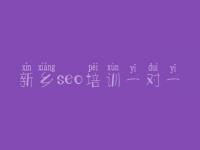 新乡seo培训一对一 网站优化服务公司