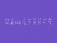 杨浦seo培训费多少钱_最好网站建设公司