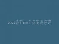 2022德阳seo白帽免费教程_高阶白帽实操