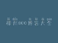 柳州seo博客大全 优化个人网络