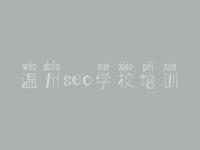 温州seo学校培训 搜索引擎的优化