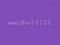 2022益阳seo学费得好多_服务到底口碑怎样