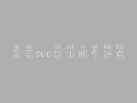 莱芜seo培训哪个好点，网页建设公司