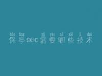 保亭seo需要哪些技术_平台网站建设有哪些