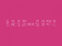 玉树实战seo培训中心_如何自己建设网站