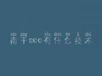 南平seo有什么技术，公司seo优化