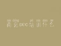 南充seo培训什么 专业优化网站