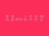 海南seo技术排名 大企业网站建设