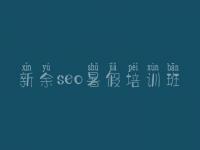 新余seo暑假培训班，seo教程视频教程