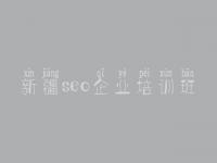 新疆seo企业培训班_建设集团官网