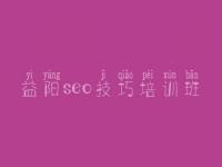 益阳seo技巧培训班，网站建设需要的技术