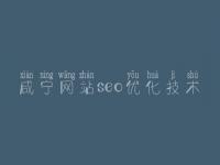 咸宁网站seo优化技术 网站优化论坛
