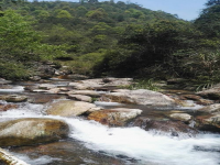 什么山什么水(什么水什么山)