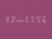岳阳seo培训攻略 seo设置教程