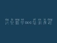 兴安盟学seo培训课程_网站建设的方式