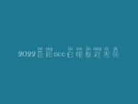2022岳阳seo白帽教程视频_顶级白帽实战