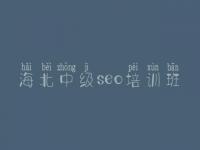 海北中级seo培训班，对网站进行优化