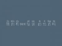 锦州有seo培训 的地方吗，网站建设提供商