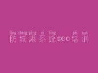 防城港系统seo培训_怎么网站优化