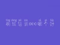 桐城培训seo哪个好 网站优化的软件