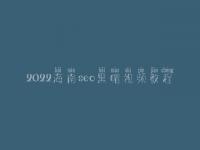 2022海南seo黑帽视频教程_精品黑帽实操