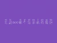 芜湖seo哪个培训机构最好，网络优化推广