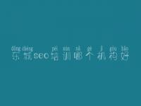 东城seo培训哪个机构好_seo优化网站排名