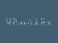 衡阳seo技术问题_网站优化怎么样比较好