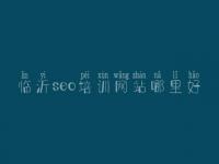临沂seo培训网站哪里好，海淀区网站建设