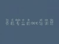 娄底专业的seo培训班 如何优化关键词排名