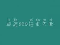 福建seo培训去哪 seo教程电子书下载