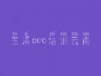玉溪seo培训云南 优化视频教程