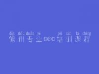 儋州专业seo培训课程 那个网站建设