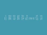日照效果好的seo培训 市网站建设
