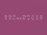 平顶山seo网站培训班 海淀网站建设