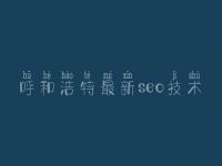 呼和浩特最新seo技术_哪里建设网站好